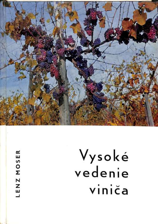 Vysok vedenie vinia