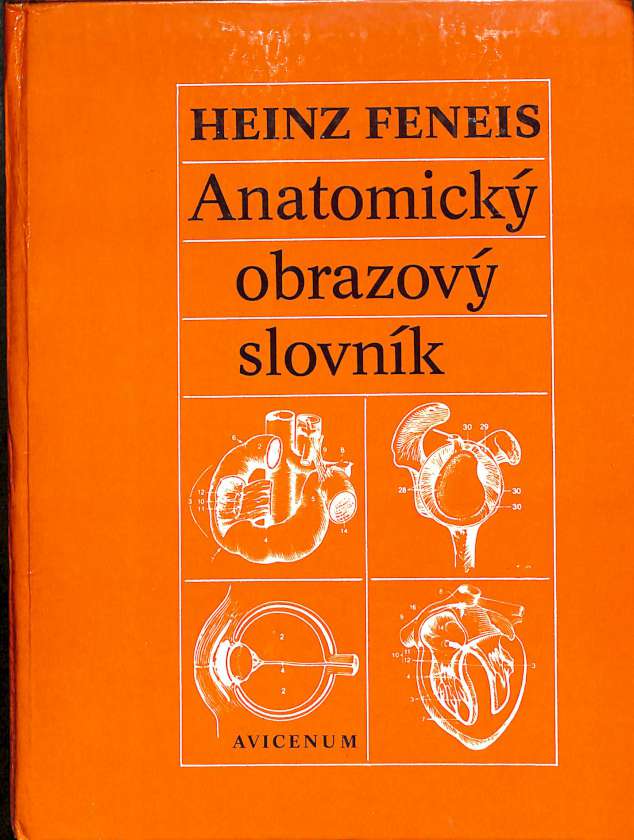 Anatomick obrazov slovnk