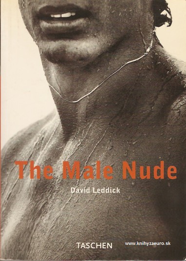 The male nude