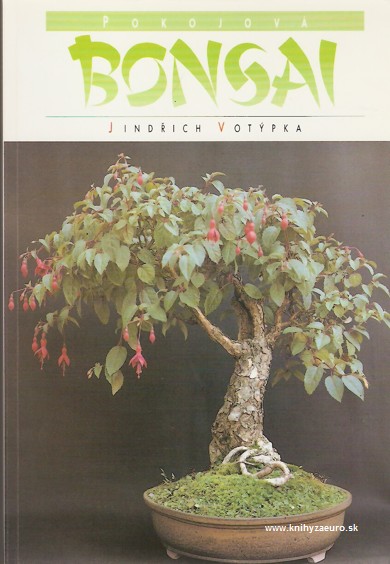 Pokojov bonsaj 