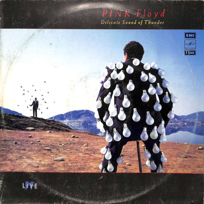 Pink Floyd - Delicate sound of thunder (LP)