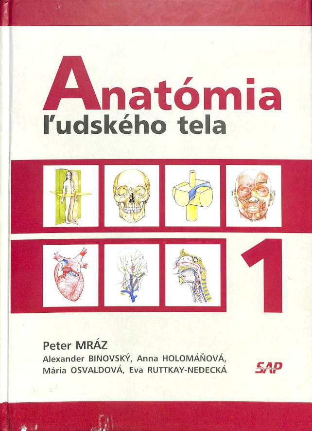 Anatmia udskho tela 1.