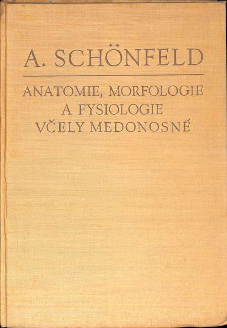 Anatomie, morfologie a fysiologie vely medonosn