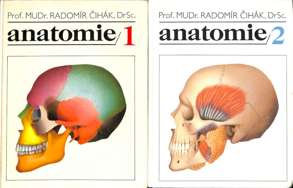 Anatomie 1. 2.