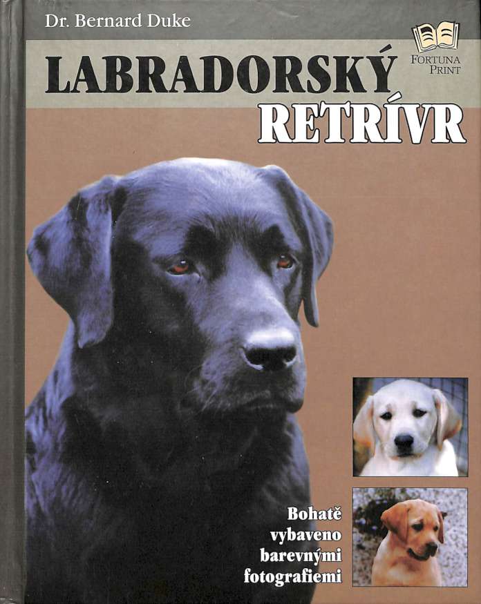 Labradorsk Retrvr
