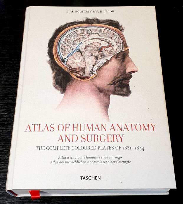 Atlas of Human Anatomy and Surgery - The Complete Coloured Plates of 1831-1854