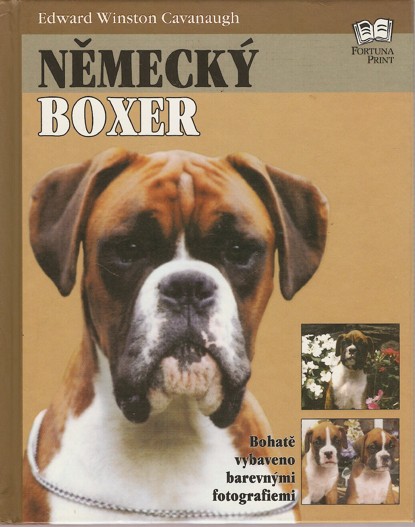Nmeck boxer